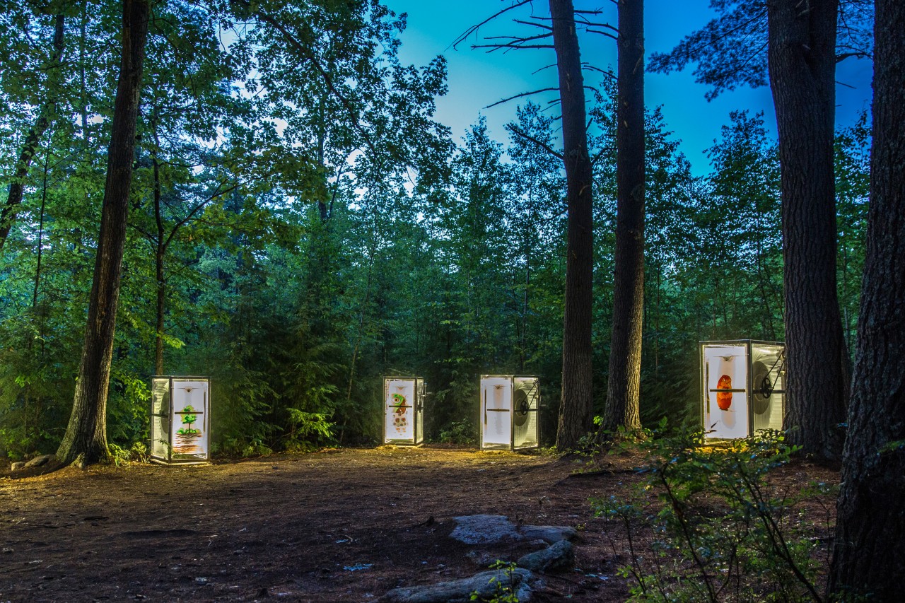 Project, cabins and day in the life at Beam Camp in Strafford, NH